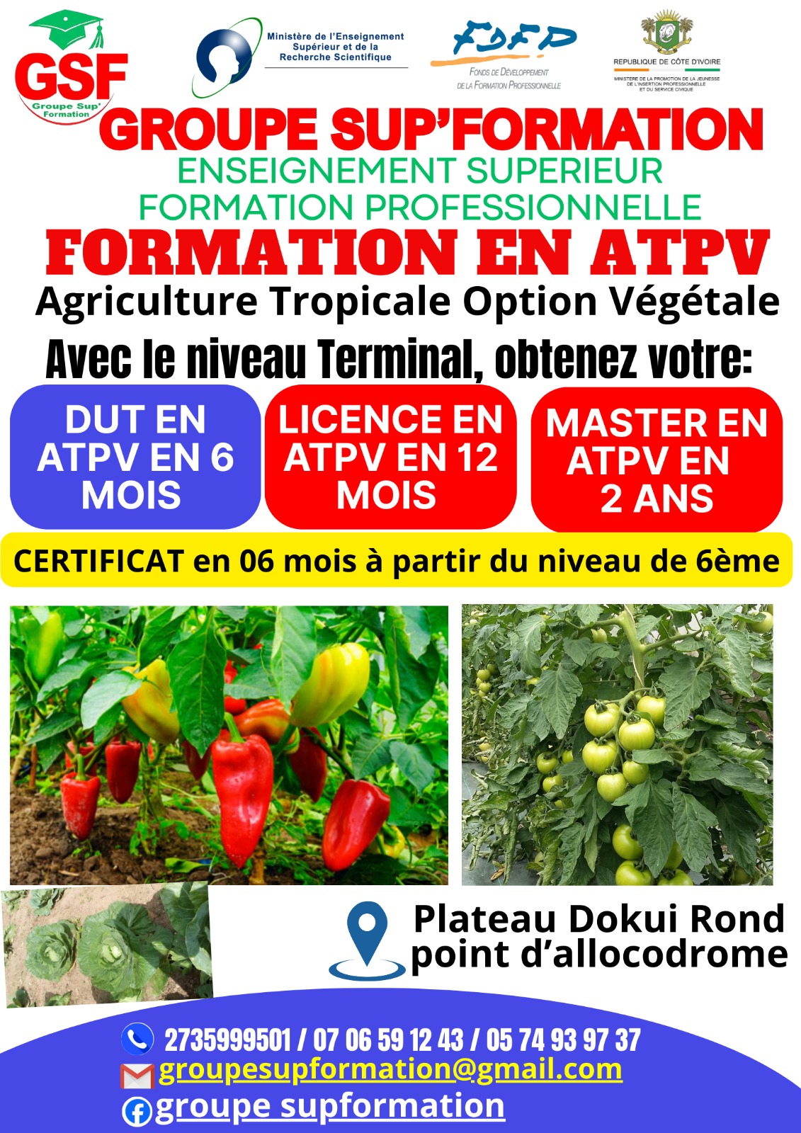 Création